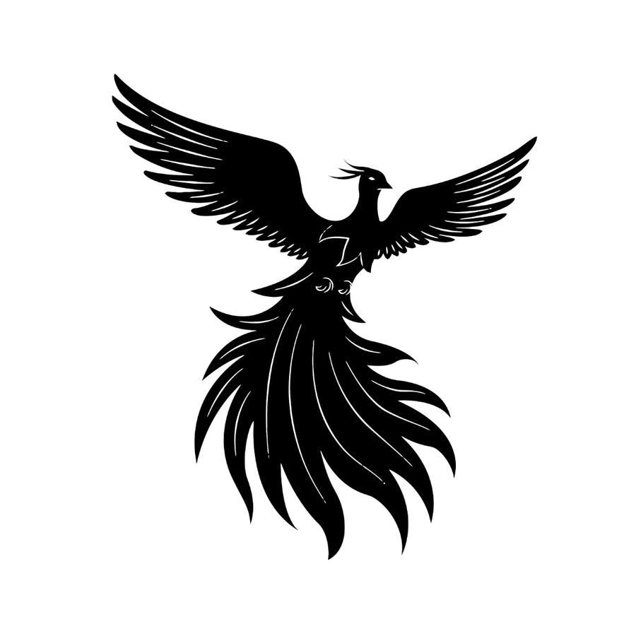Phoenix 1 Black